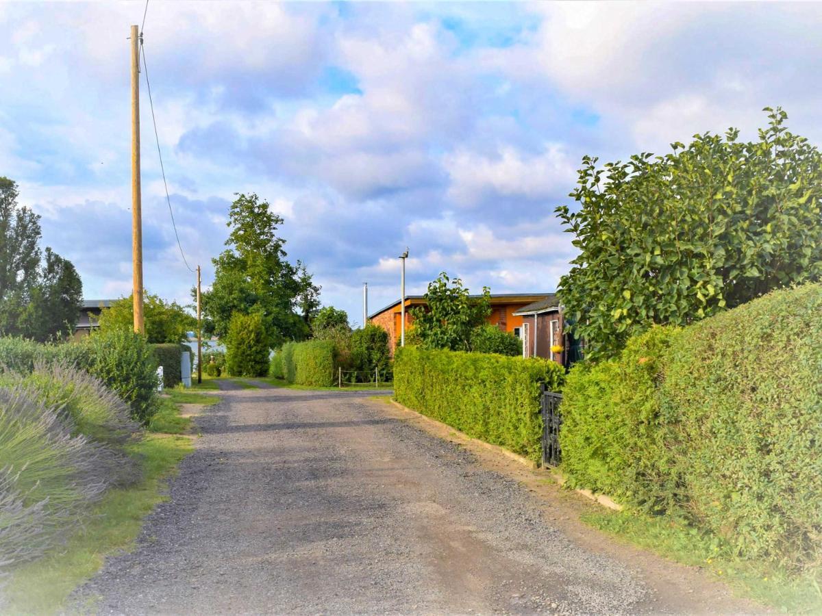 Bungalow Am Sund Stahlbrode Exteriör bild